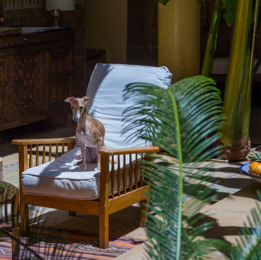 Riad Azoulay Marrakesh Eksteriør billede